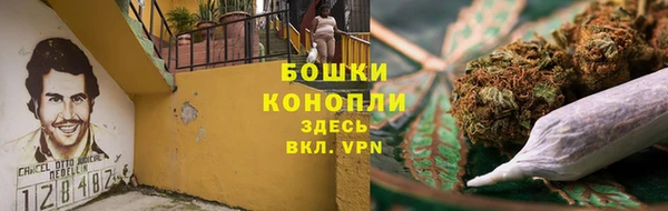 шишки Магас