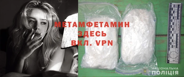 шишки Магас