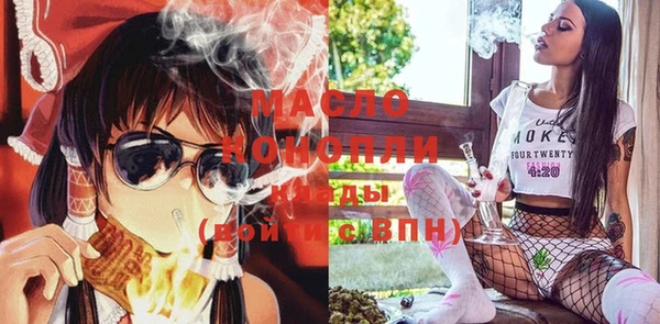 шишки Магас