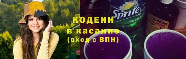 шишки Магас