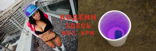 шишки Магас