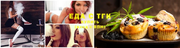 шишки Магас