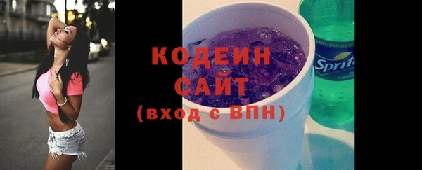 шишки Магас