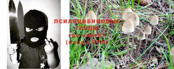шишки Магас