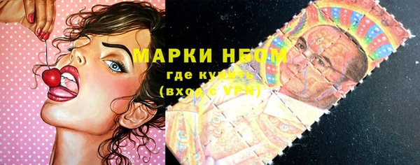 шишки Магас