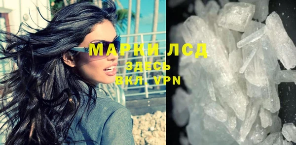 шишки Магас