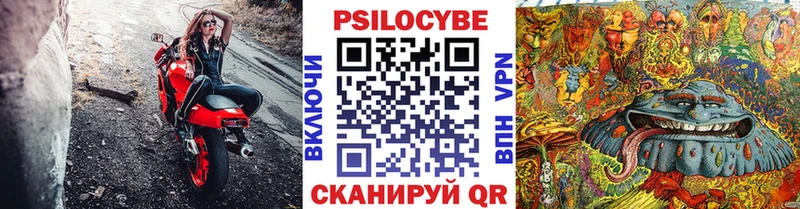 Галлюциногенные грибы Psilocybine cubensis где можно купить наркотик Данков